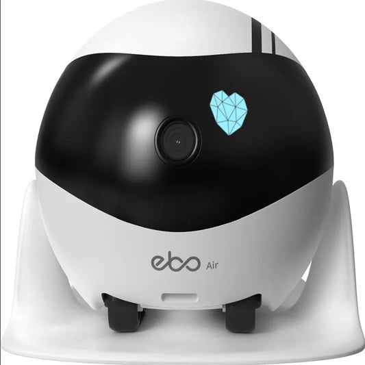 NexaLiving Companion Robot Remote