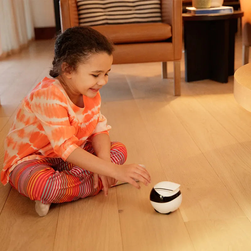 NexaLiving Companion Robot Remote